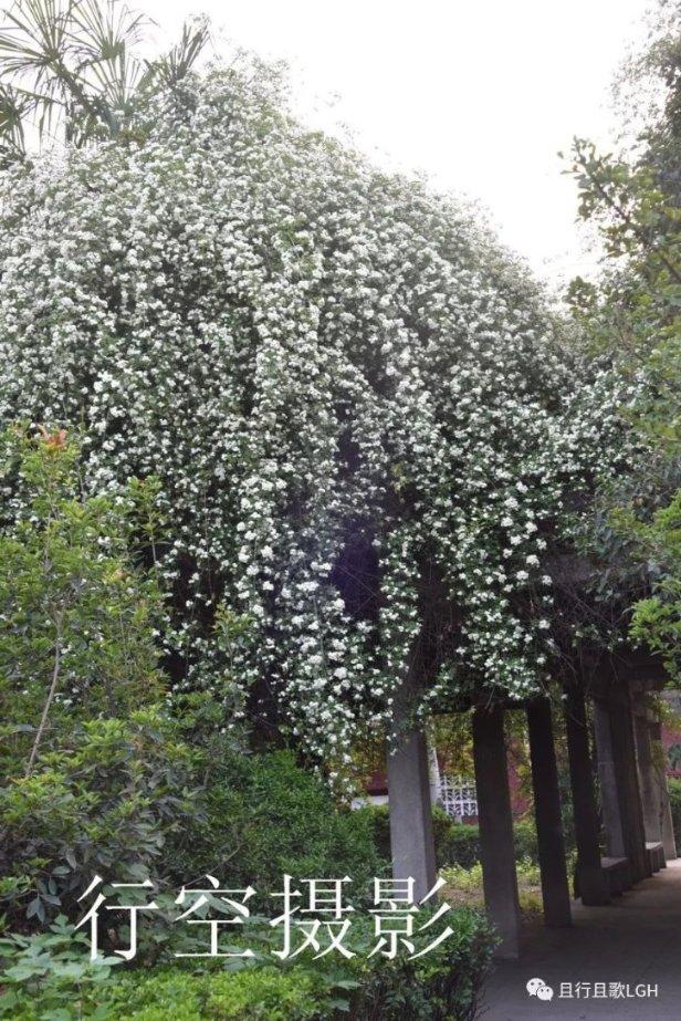 补救措施